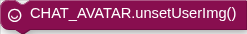 CHAT_AVATAR.unsetUserImg()